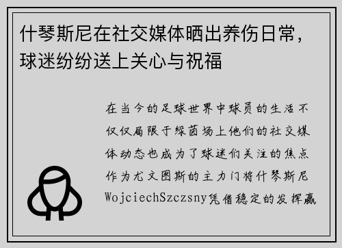 什琴斯尼在社交媒体晒出养伤日常，球迷纷纷送上关心与祝福