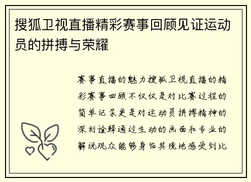 搜狐卫视直播精彩赛事回顾见证运动员的拼搏与荣耀